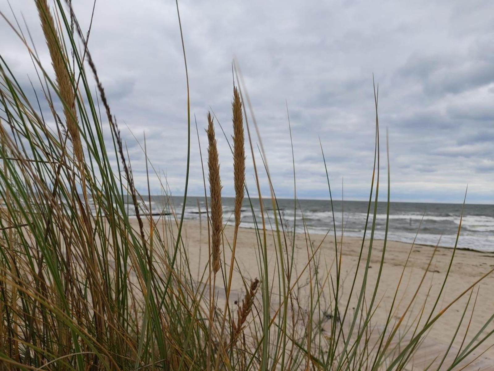 Ostsee Ferienhaus Usedom Hundefreundlich Familie Stopp Haus 22 Lutow Экстерьер фото